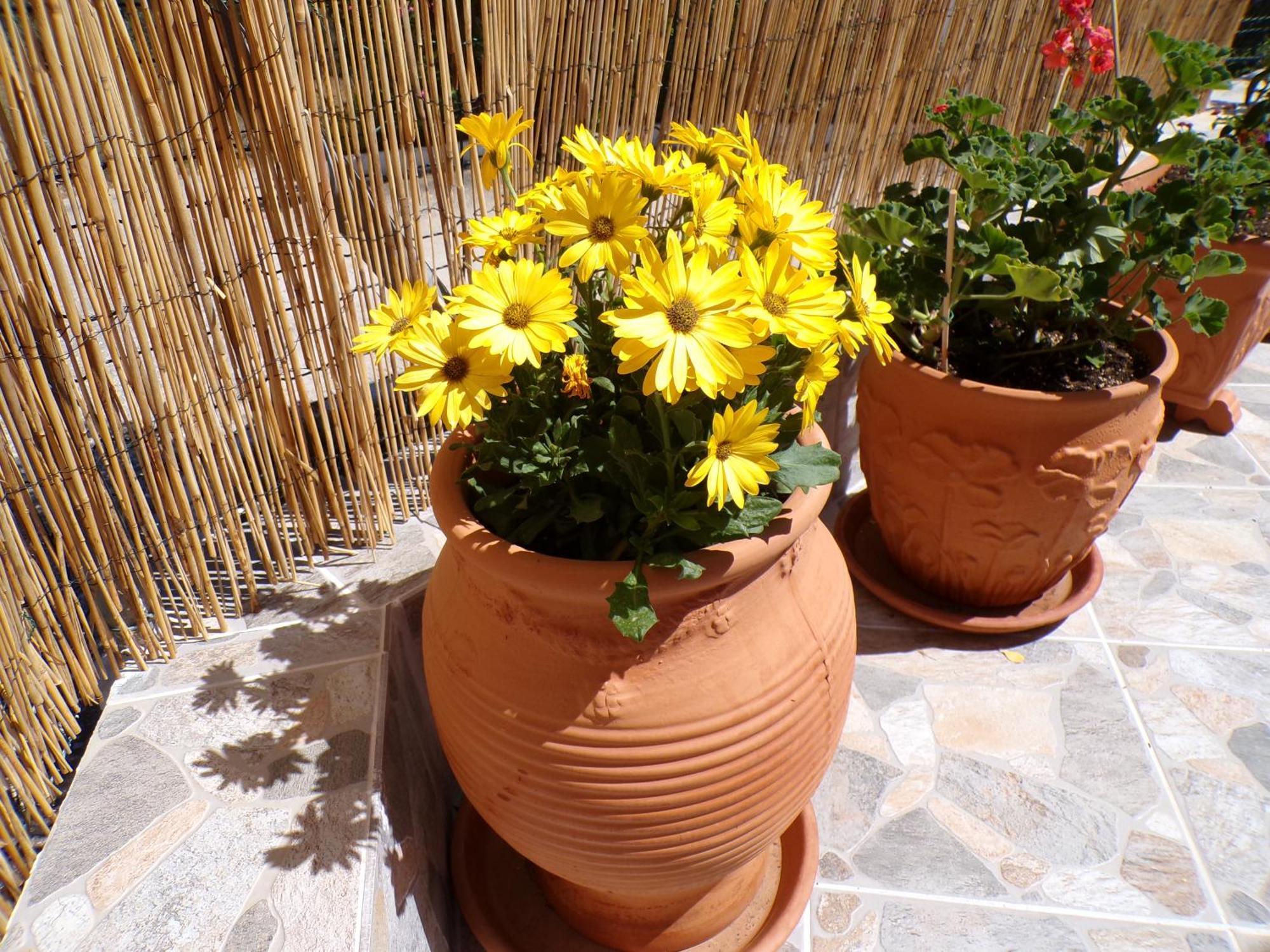 Apartment Reggina's Place